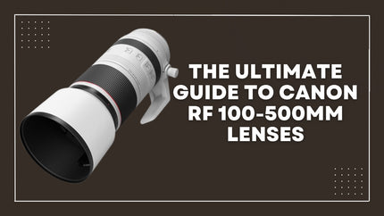 The Ultimate Guide to Canon RF 100-500mm Lenses